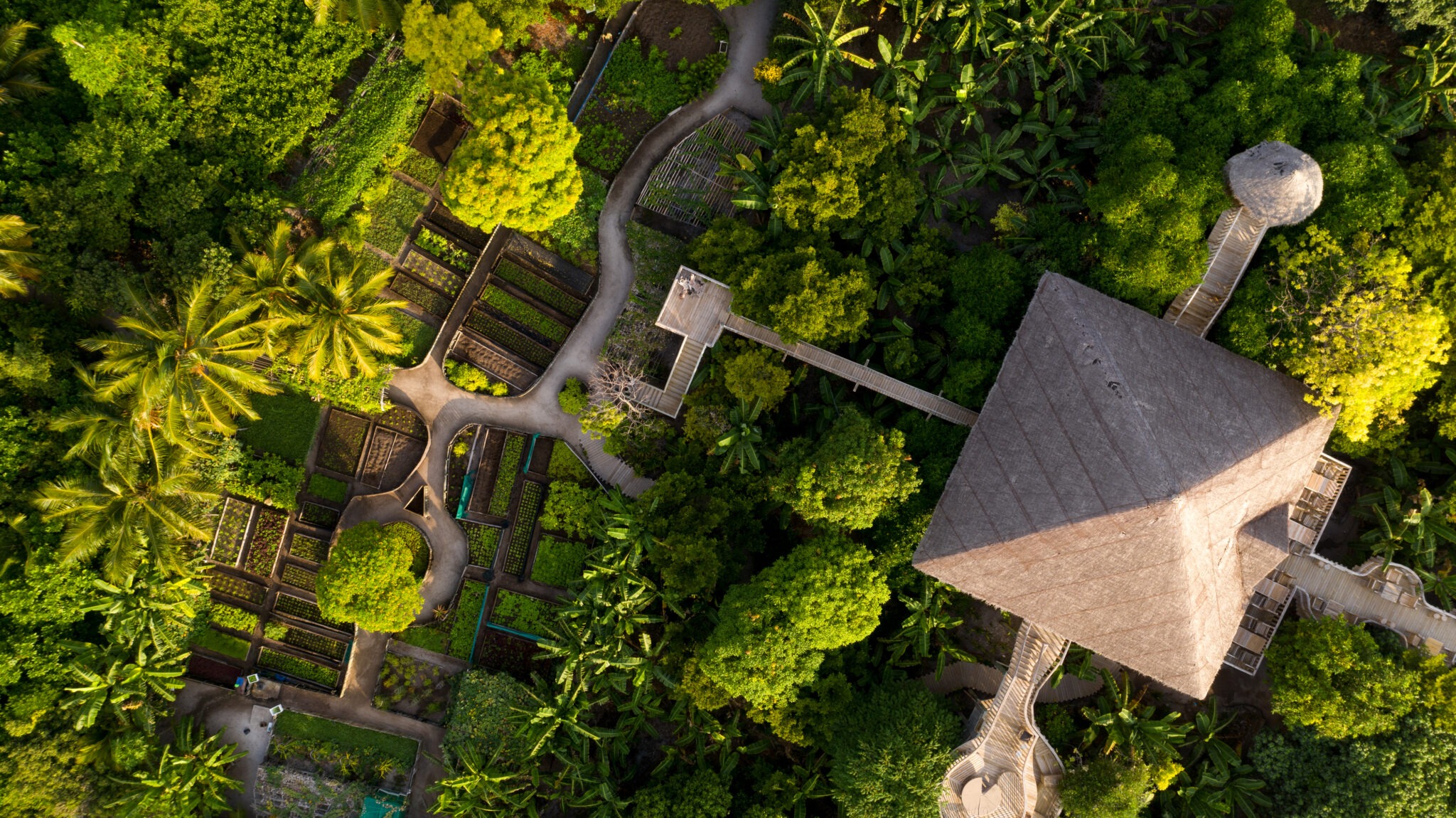 imgi_93_Soneva-Fushi-Fresh-in-the-Garden_Matt-Porteous-scaled